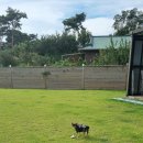 스테이 그리다 이미지