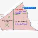 울릉도부동산, 나대지 20평 3,000만(16평 건축가능, 건물.주택지, 외지인 매입가능)..울릉도집매매 2.2억(대35평/집35평) 이미지