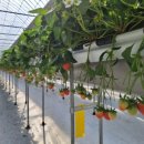 용석농장 이미지