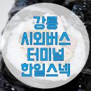 한일스넥
