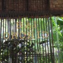 종난농장 이미지