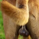 한가람동물의료센터 이미지