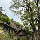 세무회계세흥 네이버블로그