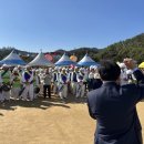 늘편안한의원 네이버블로그