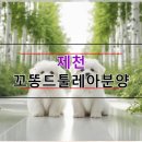 삼기농장 | 제천 꼬똥드툴레아분양, 경험자의 비교 분석 후기