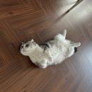 행복보일러