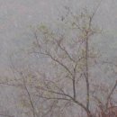 등산로집 이미지