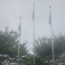 그라운드 골프 친선 경기대회 이미지