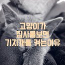 기지개 이미지