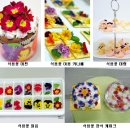 송정섭농장 | 식용꽃