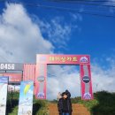 대천레이싱카트
