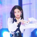 예인 Daum카페