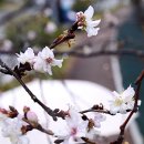 진해구 ⓒ-42 이미지