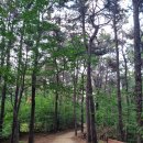 노작 홍사용 묘역 이미지