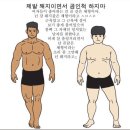 나의 아저씨) 여자들이 좋아한다는 곰체형의 듬직한 남자 적절한 실제표본 이미지