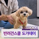 스퀘어독스 롯데남악점 이미지