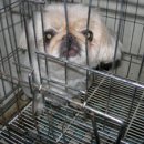 조원동주민센터 이미지