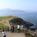 바람의언덕 이미지