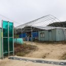 자연농장건강원 - 강진군 신마길 16-2 | 자연농장건강원
