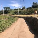 삼양축구장 이미지