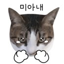 산수골펜션 이미지