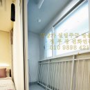 리젤펠리스 이미지