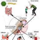 Re: 오십견, 만성염증, 자가면역 염증 + 섬유화가 주요 원인!! 이미지