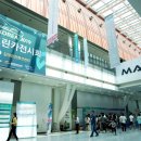 그린카마스타 이미지