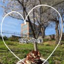 다남로 | - 사슴히의 카페투어: 인천 고양이똥 카페 진짜후기 (벚꽃카페, 목련카페, 분위기좋은카페, 야외테이블...