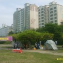 금호강5 이미지