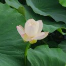 옥동 태양광발전소 이미지