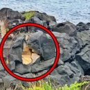 곤을동환해장성 이미지