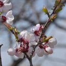 노루땅농장 이미지