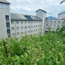 이화본가 | [교대원 입시] 면접을 보자!｜이화여대 교육대학원 역사교육 면접 후기 및 질문