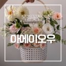 부천꽃집 옥길 꽃집 아에이오우 꽃바구니 대만족 후기