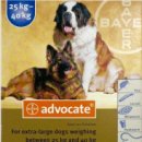 도담시청약국 이미지