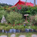 노두길민박 이미지