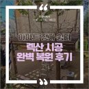 시흥 아파트 렉산시공 정자 지붕 완벽 복원 후기