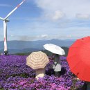 바람언덕 이미지