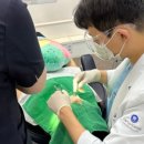 최진욱치과의원 네이버블로그