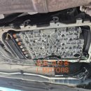 엘모터스(L-MOTORS) 이미지