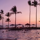 돌속농장 이미지