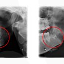 동탄가온치과의원 이미지
