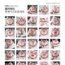 호공돼지