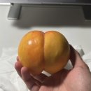 유플러스정형외과의원 이미지