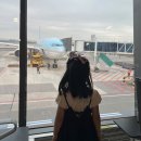 라비스테이 이미지