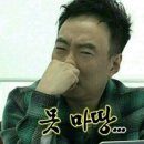 도다미 이미지