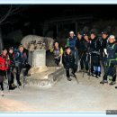 완도13호 이미지