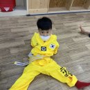 김지수브니엘태권도장 이미지