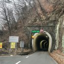 똥개애견카페 이미지